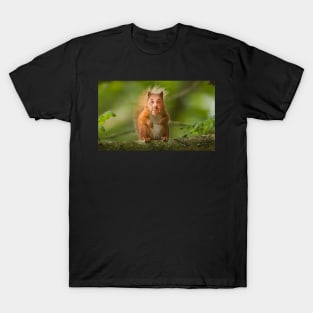 Dave-Squirrel T-Shirt